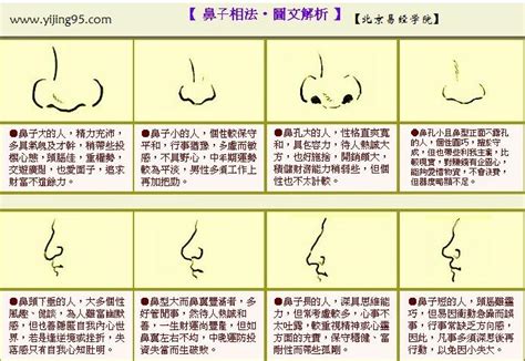 鼻子面相图解|鼻子面相图解：鼻子面相看人生运程